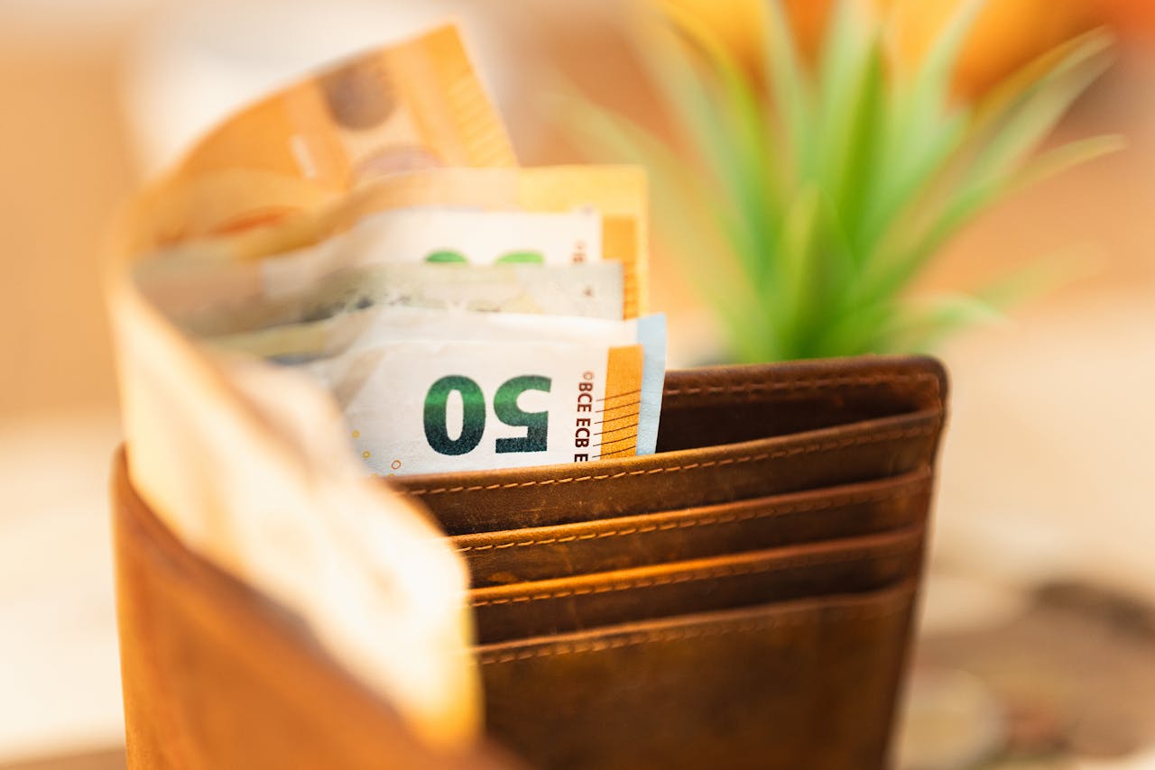 services-03 Close-up of a wallet with euro notes and a green plant in the background.